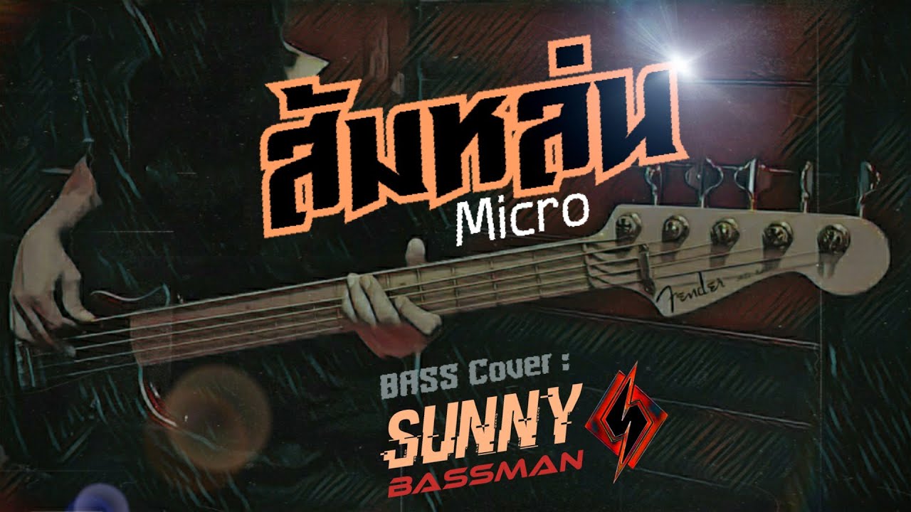 ส้มหล่น - MICRO / BASS COVER By : SUNNY BASSMAN