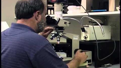 PLM by MVA Scientific Consultants