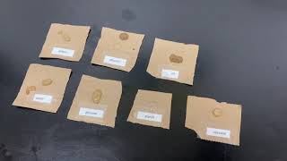 Translucency test for the presence of lipids/fats