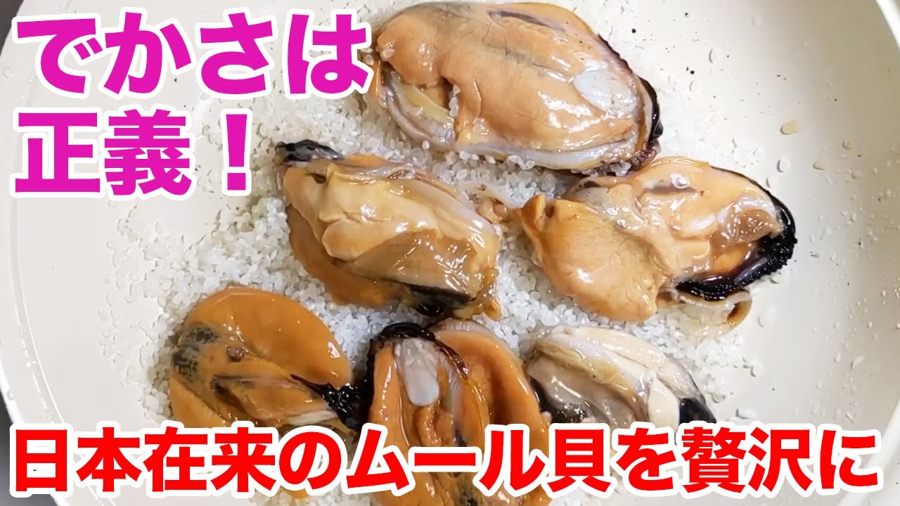 でかさは正義！ムール貝にそっくりだけどもっと美味い貝