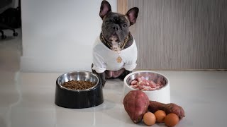 RAW DIET for your dogs - CHEAP OR EXPENSIVE ???