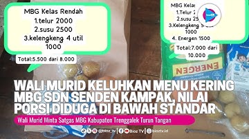 Wali Murid Keluhkan Menu Kering MBG SDN Senden Kampak, Nilai Porsi Diduga di Bawah Standar - bioztv