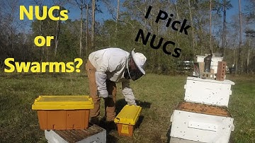 Making NUCs to Prevent Swarming