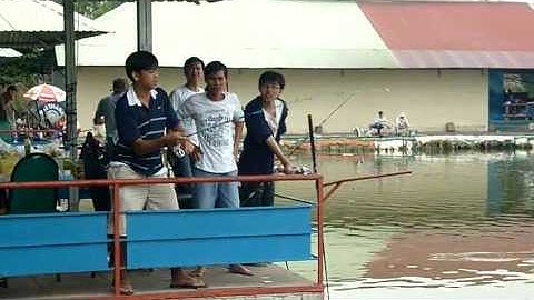 Câu cá tra 2 - THÀNH LONG - thegioicauca.com