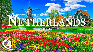 Netherlands Spring 4K - Breathtaking Tulip Fields & Blossoms with Peaceful Piano Music - 4K Video