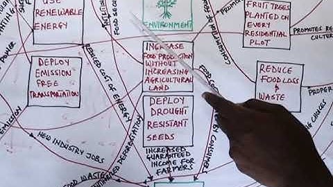 1  Food Systems Map on Environment