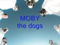 MOBY The Dogs mp3