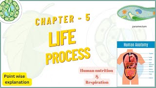 Life Process I Human Nutrition & Respiration I PART - 2 I Class - 10 I CBSE