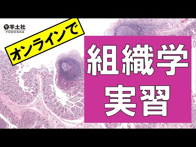 組織学 実習がオンラインで出来る！？#出版社#羊土社