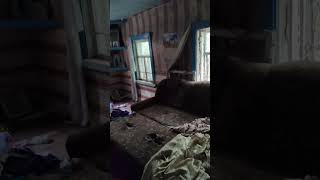 КАК ГРАБЯТ ДАЧНЫЕ ДОМИКИ /МАРОДЁРЫ ДАЧНЫХ ДОМИКОВ / ПОГРОМ РАДИ САМОУТВЕРЖДЕНИЯ  И ЗАБАВЫ