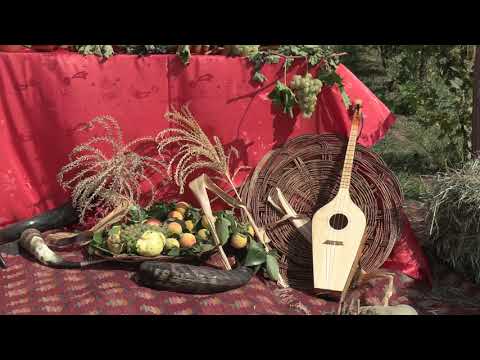 ✔️ The harvest in Manavi 2020/რთველი მანავში 2020./ახალკაციშვილების ულამაზესი ვენახი.