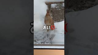 オヤジ!早く外に来なさいよ