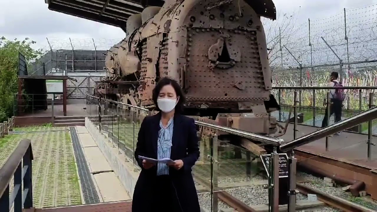 박연숙 집행위원장