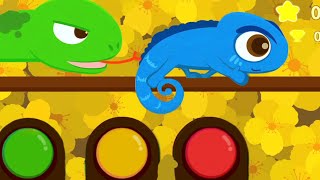 Play With animals - Help the male peacock get a new set of feathers - Babybus Game Video screenshot 3