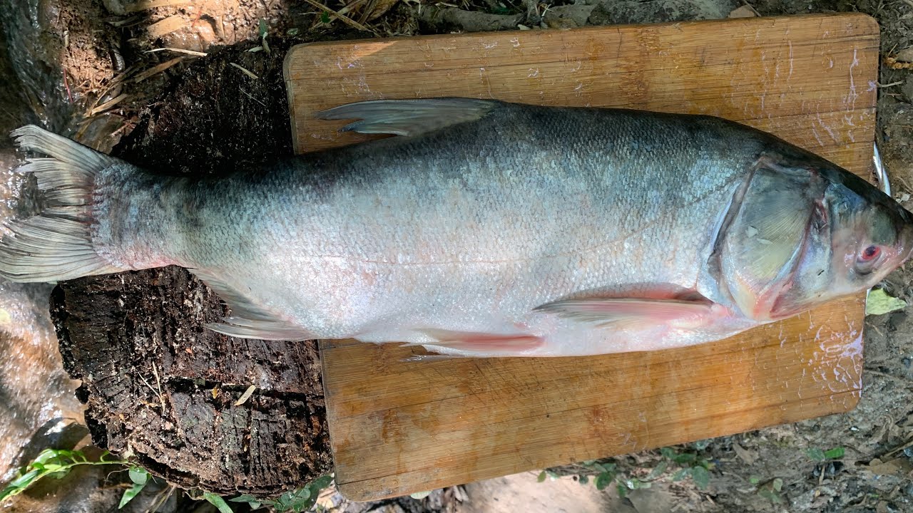 Wood fire Fish BBQ on  Grill Mat 🌿🐟 | Doğada Izgara Balık | Outdoor Turkish BBQ by the Waterfall 