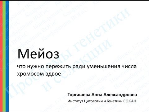 Видео: Что уменьшает вдвое число хромосом?