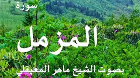 سورة المزمل بصوت الشيخ / ماهر المعيقلي 73