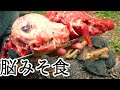 タヌキの頭を斧で割って脳みそ食べた結果まさかの味だった　ジビエ