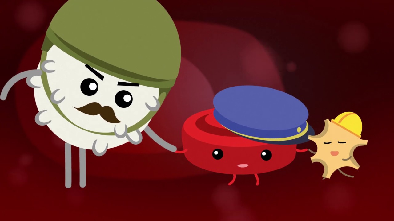 Πώς λειτουργεί το κυκλοφορικό σύστημα