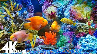Aquarium 4K VIDEO (ULTRA HD)  Sea Animals With Relaxing Music  Rare & Colorful Sea Life Video