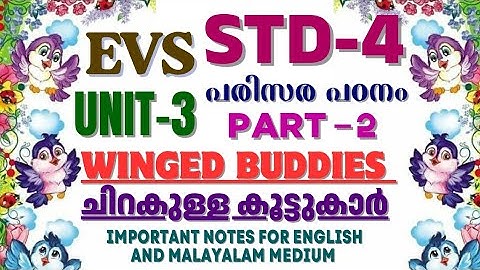 STD-4/ EVS- पर्यावरण अध्ययन/ यूनिट-3/ विंग्ड बडीज़- विंग्ड बडीज़/ भाग 2#विज्ञान#नोट्स#कक्षा 4#evs