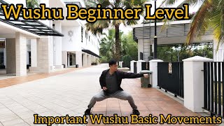 Wushu Beginner Level - Important Basic Movements