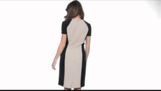 Tahari by ASL - Celia Dress SKU