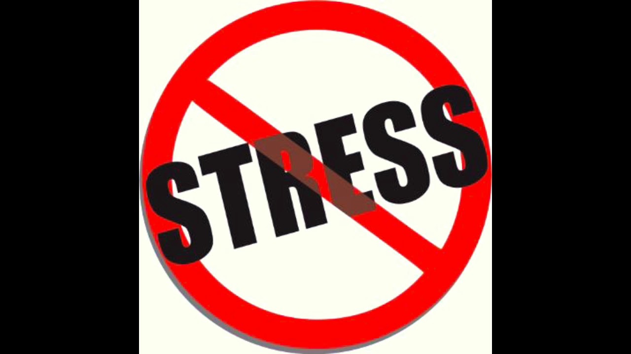 No stress big checks. No stress картинки. Dress no stress одежда. Надпись no stress. No stress png.