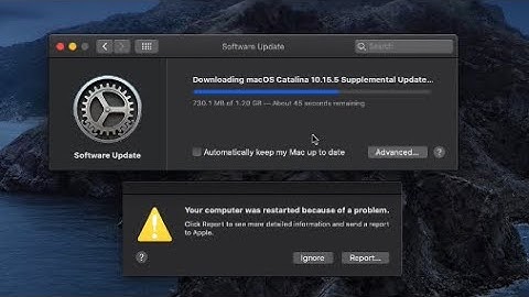 macOS Catalina 10.15.5 Supplemental Update is Out! What