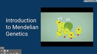 Module 6   Google Slides