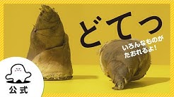 シナぷしゅch Youtube