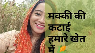 Makki ki katai ? hamare khet me cornharvest vlogs viralvlog blogging bloggerlife viral