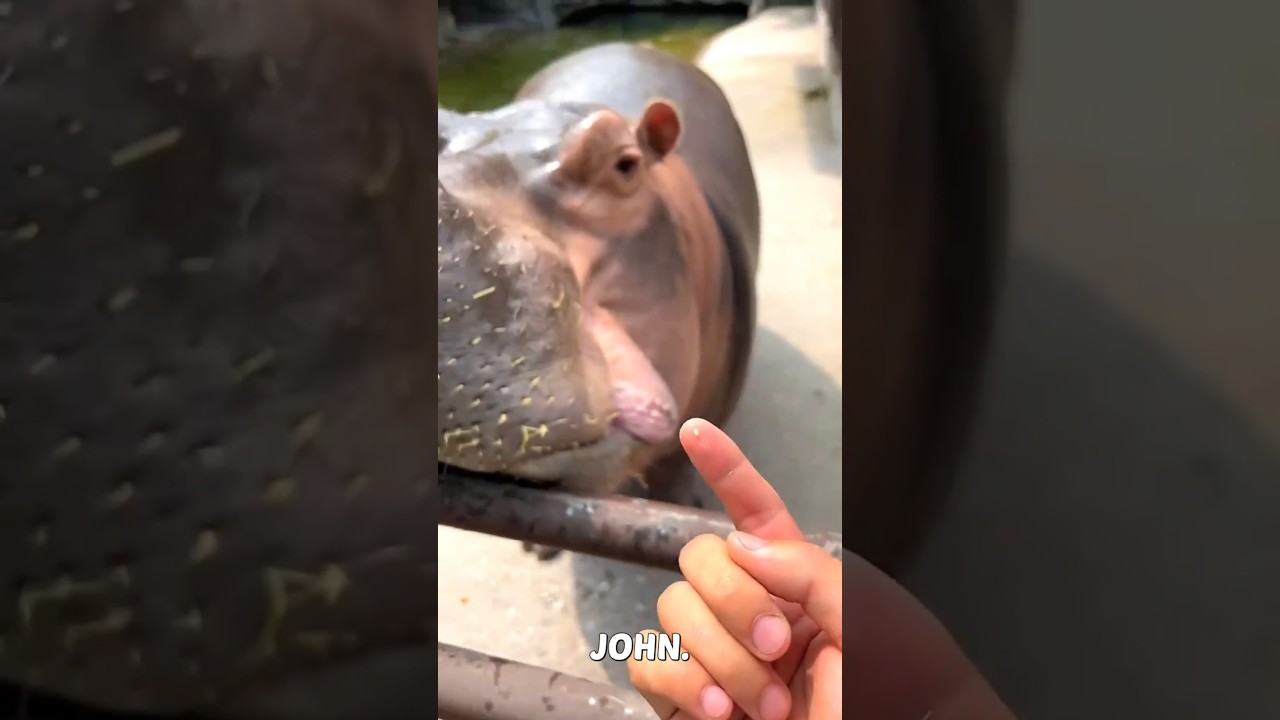 Who's being stingy, me or John? 🤔🤣 #funny #shorts