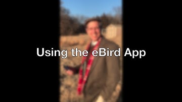 Using the eBird App