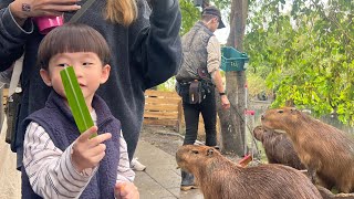 旅行｜宜蘭2天1夜行（水岸森林休閒農場、羅登夜市、蘭陽原創館、中興文化創意園區）2024