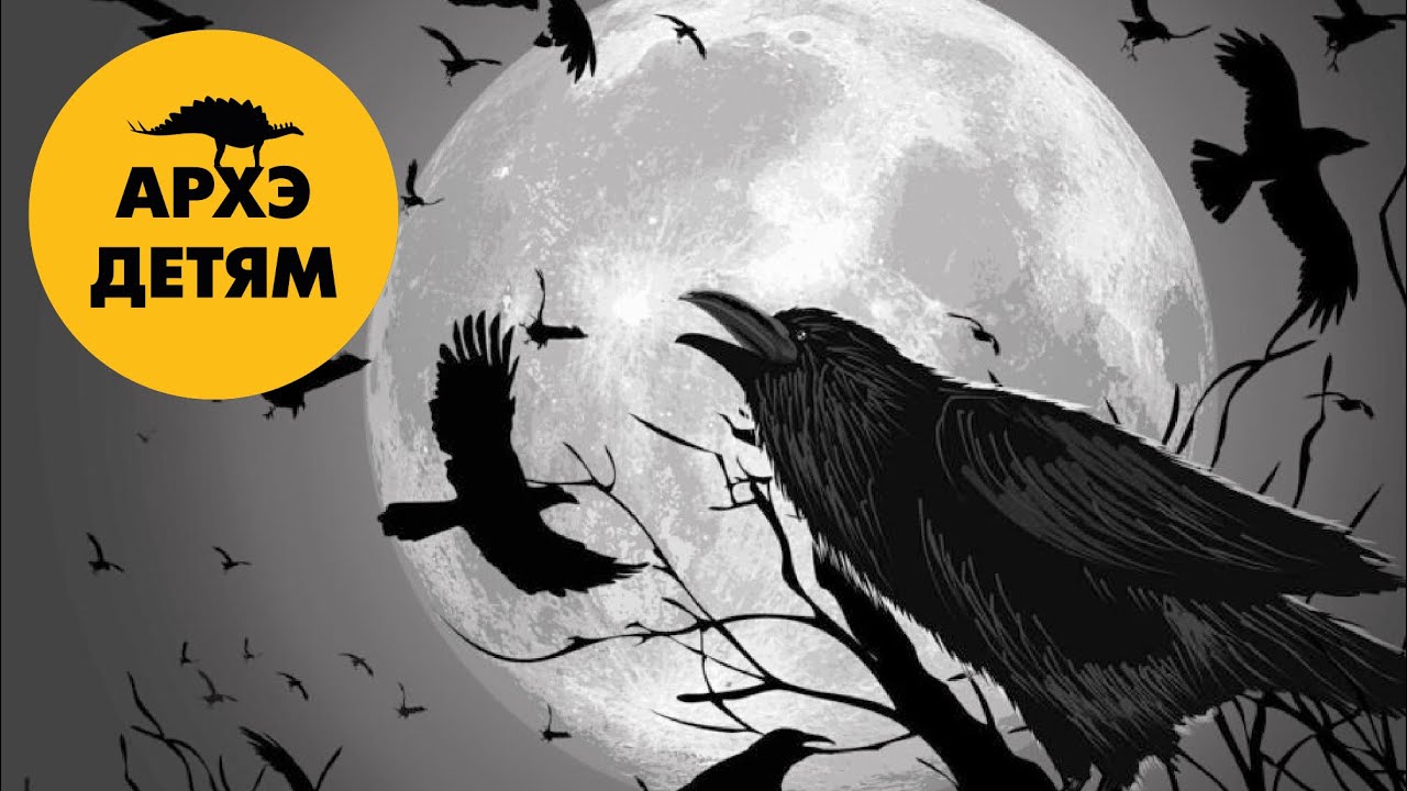 Почему мы их так боимся | Александр Хабургаев (выпуск 49)