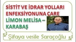 Si̇sti̇t Ve İdrar Yollari Enfeksi̇yonuna Çare Li̇mon Meli̇sa - Karabaş Kürü ~ Şifaya Vesile Saraçoğlu