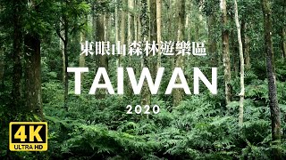 Hiking in Taiwan's Dongyanshan National Forest Recreation Area: Gorgeous Cryptomeria Forest!
