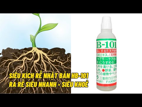 Video: HB-101 (phân bón): đánh giá, hướng dẫn sử dụng