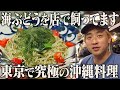 沖縄狂愛店主の「100種の沖縄料理&100種の泡盛を置いてます」に常連も「レベチすぎる」と太鼓判!沖縄料理店の1日に密着【沖縄酒場SABANI】【東京 杉並】