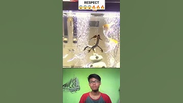 Respect part 1