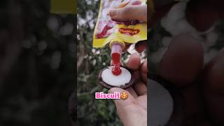 I Eat Biscuit With Tomato Mango Ketchup