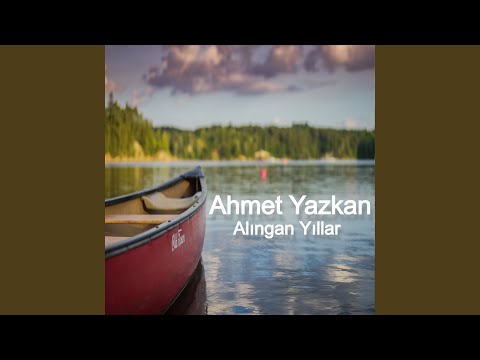Alıngan Yıllar