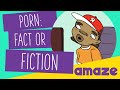 Porn: Fact or Fiction