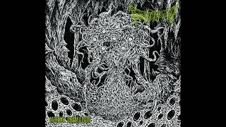 DEFENESTRATION - Mortal Cremation (compilation) [2025]