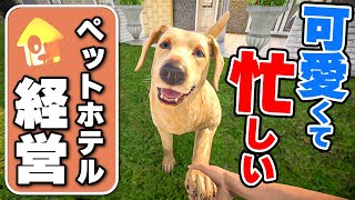 A cute but extremely busy single-person pet hotel management sim [Pets Hotel: Prologue] screenshot 3