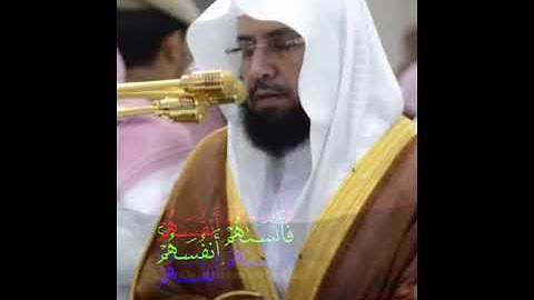 ﴿لا يَستَوي أَصحابُ النّارِ وَأَصحابُ الجَنَّةِ﴾ اواخر سورة الحشر للشيخ خالد الغامدي 🤎..