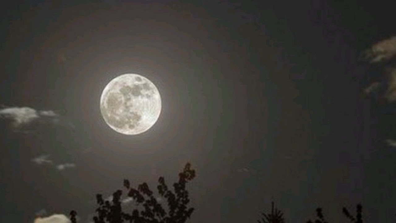 Meta Quest Broadcast | Powered by LIV