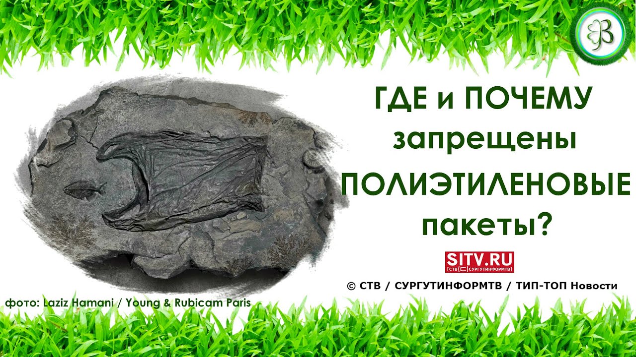 Почему запрещены кенгурятники