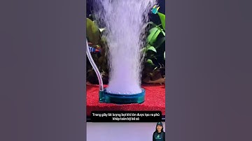 Đĩa sủi bong bóng cực mịn tăng oxy cho bể cá và giúp làm sạch nước #aquarium #youtubeshorts